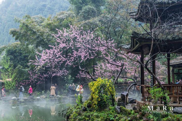 探索冷知识的男人的忽冷忽热是怎样的情感?平台,满足你的好奇心!